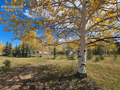 Other - 66 Broken Wheel Dr, Divide, CO 80814 photo 20 of 21