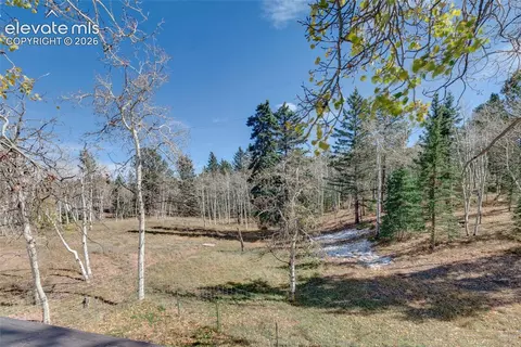 Other - 66 Broken Wheel Dr, Divide, CO 80814 photo 13 of 21