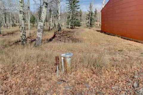 Exterior - 66 Broken Wheel Dr, Divide, CO 80814 photo 2 of 5