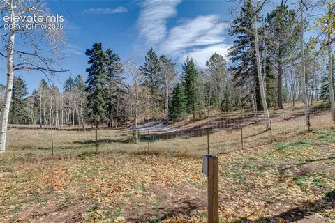 Other - 66 Broken Wheel Dr, Divide, CO 80814 photo 16 of 21