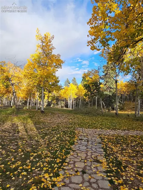 Other - 66 Broken Wheel Dr, Divide, CO 80814 photo 6 of 21