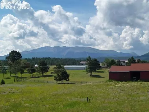 202 Pine Bluff Rd, Divide, CO 80814 photo 2