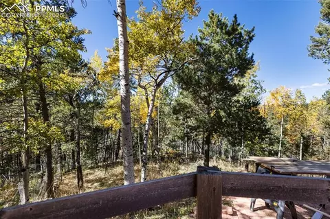Other - 679 Calcite Dr, Divide, CO 80814 photo 9 of 12