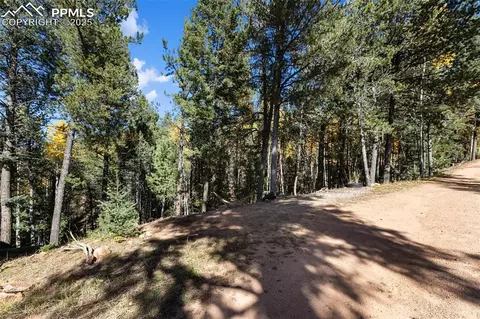 Other - 679 Calcite Dr, Divide, CO 80814 photo 2 of 12