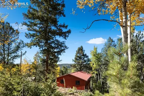 Other - 679 Calcite Dr, Divide, CO 80814 photo 11 of 12