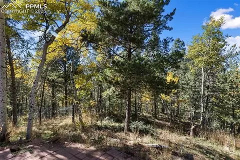 679 Calcite Dr, Divide, CO 80814 photo 26