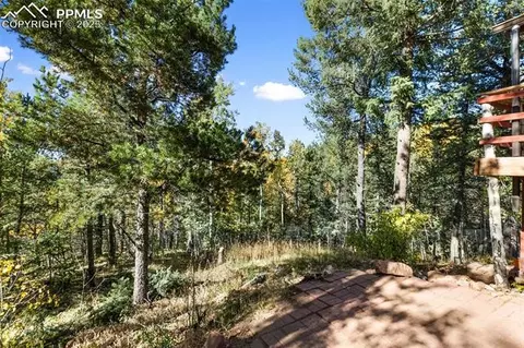 679 Calcite Dr, Divide, CO 80814 photo 25