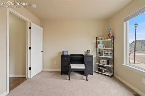 10102 Golf Crest Dr, Peyton, CO 80831 photo 26