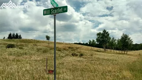 34 Herald Ln, Divide, CO 80863 photo 3