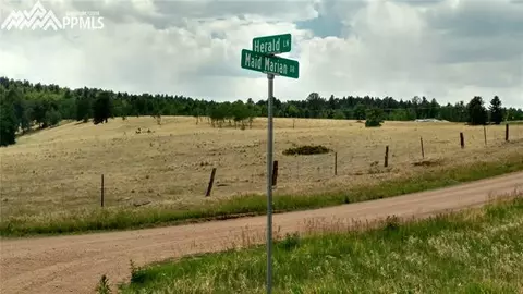 34 Herald Ln, Divide, CO 80863 photo 6