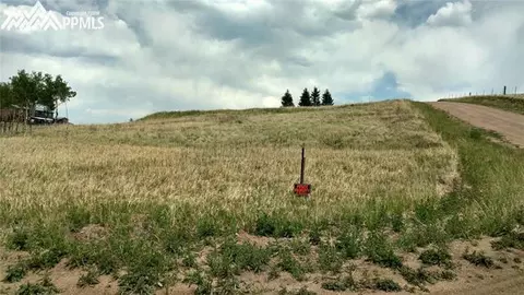 34 Herald Ln, Divide, CO 80863 photo 4
