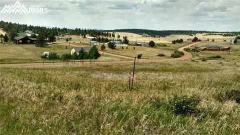 34 Herald Ln, Divide, CO 80863 photo 11