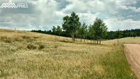 34 Herald Ln, Divide, CO 80863 photo 2
