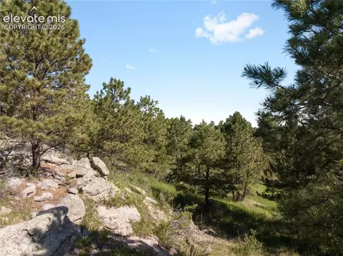 18673 N Elbert Rd, Elbert, CO 80106 photo 5