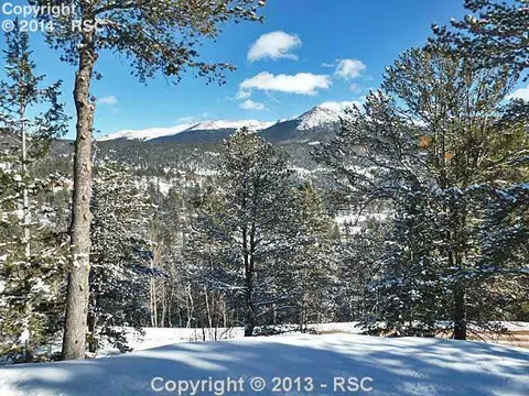 492 Horseshoe Dr, Divide, CO 80814 photo 3