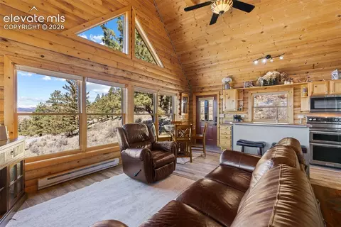 Living - 1995 Bonell Dr, Fairplay, CO 80440 photo 3 of 5