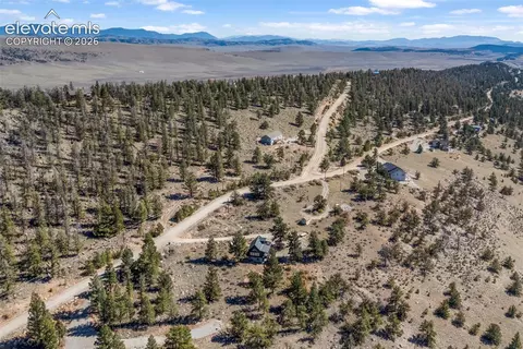 View/Area - 1995 Bonell Dr, Fairplay, CO 80440 photo 2 of 6
