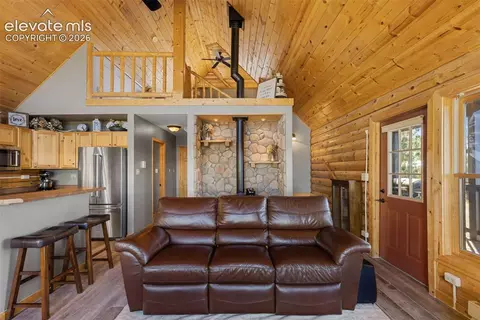 Living - 1995 Bonell Dr, Fairplay, CO 80440 photo 4 of 5
