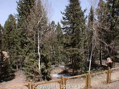 1375 County Road 512 Na Na, Divide, CO 80814 photo 20
