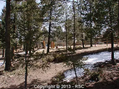 1375 County Road 512 Na Na, Divide, CO 80814 photo 21