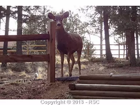 1375 County Road 512 Na Na, Divide, CO 80814 photo 22