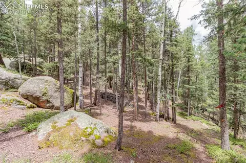 645 High Rd, Divide, CO 80814 photo 7