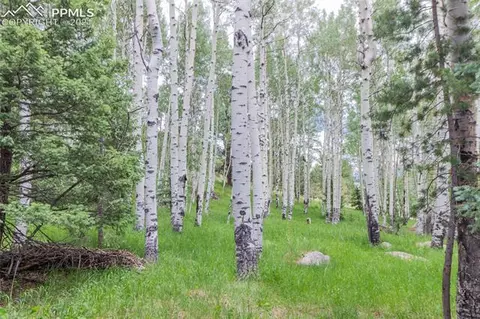 645 High Rd, Divide, CO 80814 photo 9