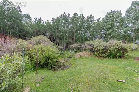 645 High Rd, Divide, CO 80814 photo 2