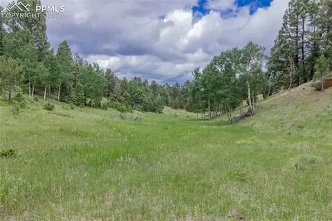 645 High Rd, Divide, CO 80814 photo 4