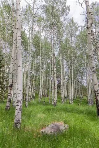 645 High Rd, Divide, CO 80814 photo 6