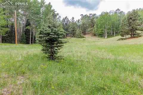 645 High Rd, Divide, CO 80814 photo 3