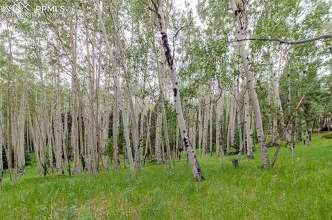 645 High Rd, Divide, CO 80814 photo 5