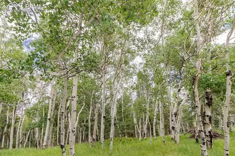 645 High Rd, Divide, CO 80814 photo 8