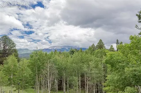 645 High Rd, Divide, CO 80814 photo 1