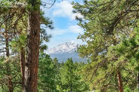 156 E Ridge Dr, Woodland Park, CO 80863