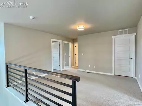 17698 Lemon Rye Loop, Monument, CO 80132 photo 13