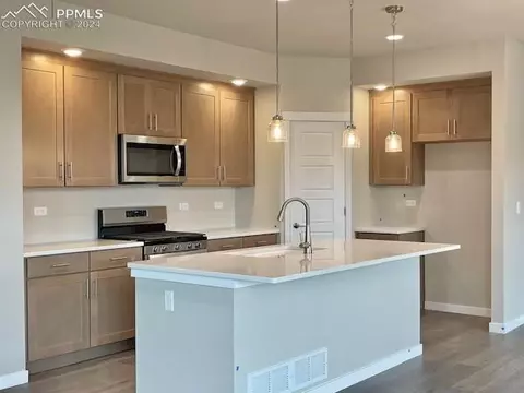17698 Lemon Rye Loop, Monument, CO 80132 photo 7