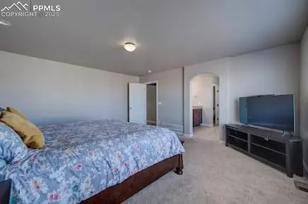 12790 Sunlight Peak Pl, Peyton, CO 80831 photo 20