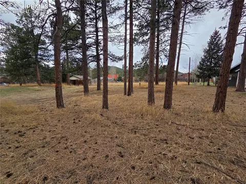 224 S Fairview St, Woodland Park, CO 80863