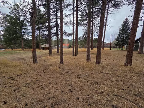 224 S Fairview St, Woodland Park, CO 80863