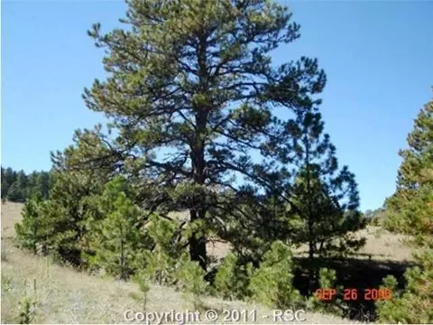 20470 Warriors Path Dr, Peyton, CO 80831 photo 6