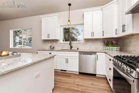 109 Allison Pl, Divide, CO 80814 photo 8