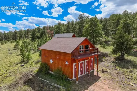 Other - 151 Old Kathleen Trl, Guffey, CO 80820 photo 9 of 25