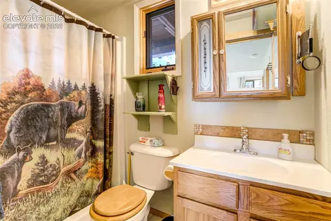 Bath - 151 Old Kathleen Trl, Guffey, CO 80820 photo 1 of 1