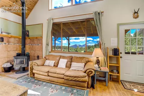 Living - 151 Old Kathleen Trl, Guffey, CO 80820 photo 2 of 3