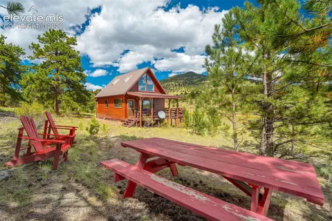 Exterior - 151 Old Kathleen Trl, Guffey, CO 80820 photo 10 of 12