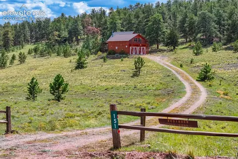 Other - 151 Old Kathleen Trl, Guffey, CO 80820 photo 21 of 25