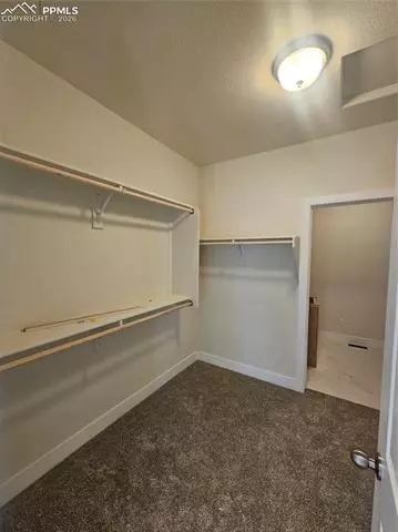 16367 Cattle Creek Ct, Monument, CO 80132 photo 13