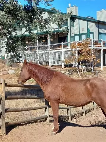 3120 Bonne Vista Dr, Colorado Springs, CO 80906
