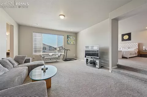 Other - 10932 Rolling Mesa Dr, Peyton, CO 80831 photo 17 of 19